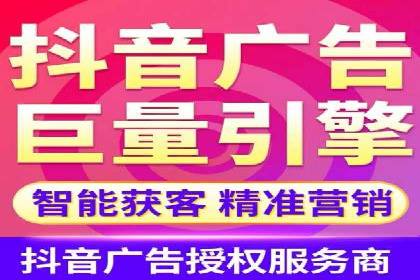 行业领先企业背后的信息流代运营案例